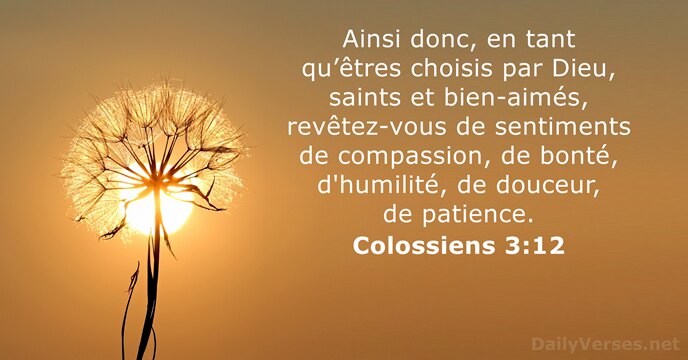 2025 08 31 colossiens 3 12 3